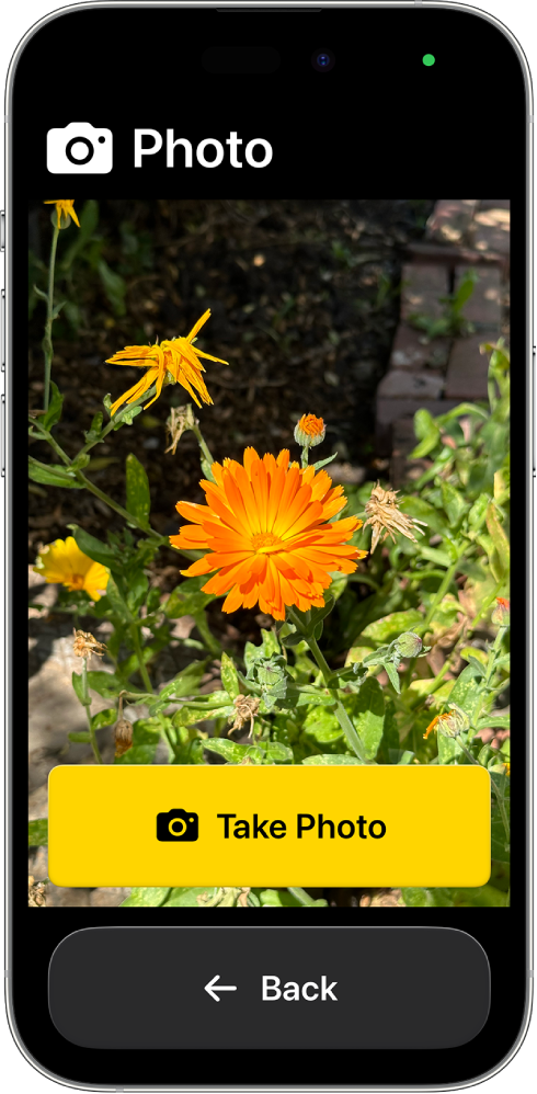 Assistive Access Camera on iPhone: a flower in the viewfinder above a huge yellow "Take Photo" button.